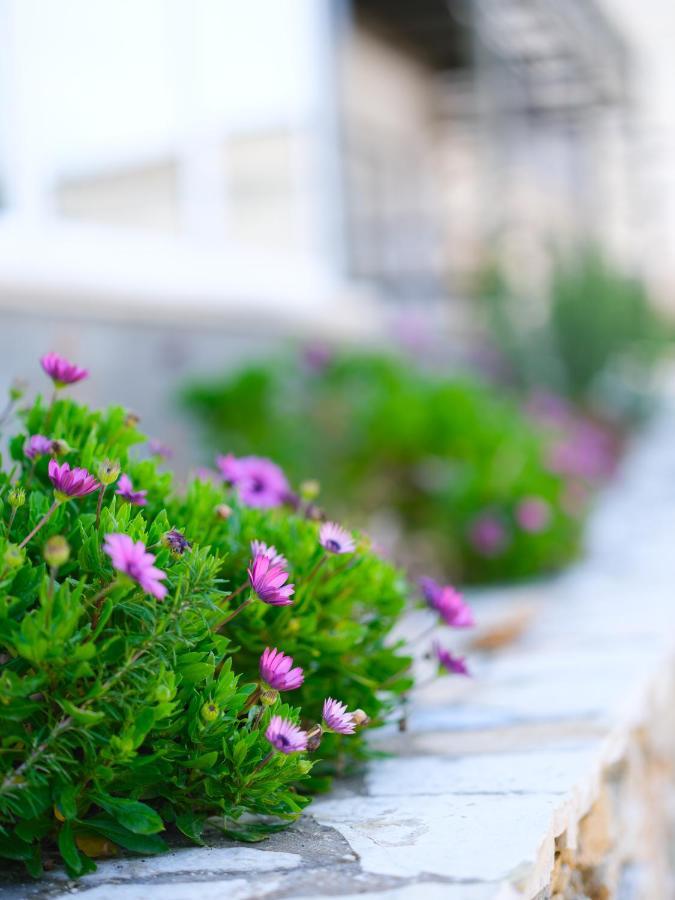 Sunset House Apartment วญอเรอ ภายนอก รูปภาพ